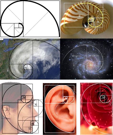 tabela de fibonacci mega sena